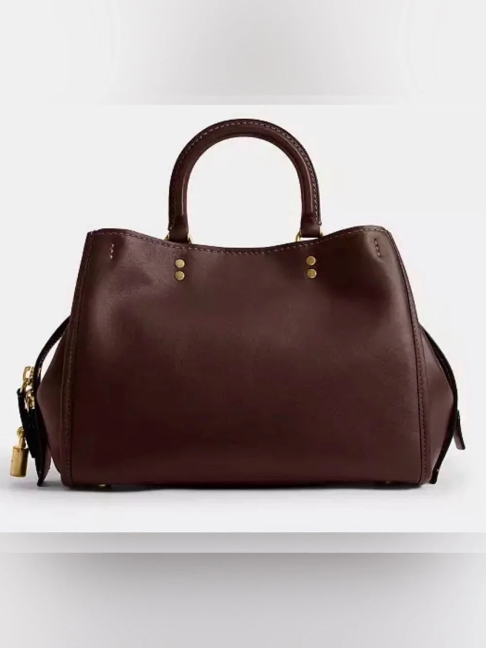 Coach Rogue 31 in Maple